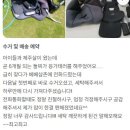 베베세탁소
