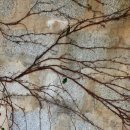 김영삼전대통령생가기록전시관 이미지