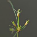 하늘지기 이미지