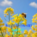 용인IC 이미지