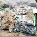 부해농장 이미지