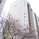 한국아파트 이미지