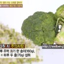 김정남농장 | 브로콜리새싹 파는곳 유방암 천기누설 브로콜리 새싹 하루섭취량