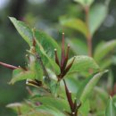 봉화1길 이미지