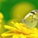 오월의 하루 이미지