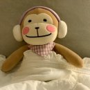 윈드스테이 이미지