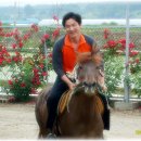 지리산목장 이미지