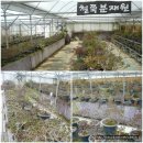 동산농장 이미지