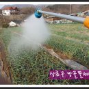 상초농장