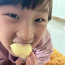 뉴턴의 사과 이미지