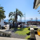 제주 장미여관 이미지