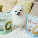 이편한덴탈랩 | 바잇미 닥터이너피스 덴탈껌 오랄프레시 덴타링 강아지껌 후기