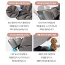 [쿠쿠] 지친일상에 힐링이 필요하신 분들 여기 보세요! 쿠쿠 리네이처 안마의자 월 렌탈료 저렴하게...