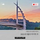 새롬행정 사무소 | 지난주 비욘드의 이것저것(홈쿡, 서귀포 치유의 숲, 멍때리기, 하영올레 개막식, 지호네민박 그리고...