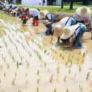 이포초등학교 이미지