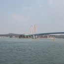 진도대교휴게소 Daum카페