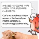 동아축산2 동아일보