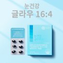 글라우 이미지