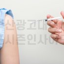 포시즌인사이드