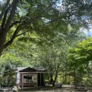 청옥민박 이미지