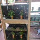 비즈아쿠아수족관 이미지