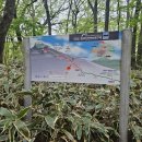 (주)킨모바일 | 등산 초초초초보자의 한라산 등반 성공 후기 (위치별 도착 시간 기록)☆필수 준비물 꼭 확인하고 가세요...