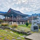 월랑농장 | [반려견 동반 강원도 평창, 강릉 여행 가볼만한 곳] 핫플, 포토존 스팟 대관령 실버벨 교회와 강릉 월화...