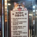 임계우리한우 | 강릉 맛집 강릉한우 초당우가에서 과일먹은 돼지갈비 먹으러 재방문 후기