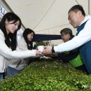 주식회사 희망나무 이미지