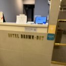 브라운도트사상르네시떼점 이미지