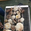 편안한민박 이미지