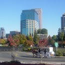 켈리포니아 이미지