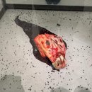 생명사랑약국 | [전시회 추천] 국립현대미술관 “데이미언 허스트” 전시 후기, 예매 방법, 꿀팁 ☆