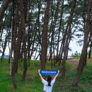 꽃지가는길 | 아이더로드 태안해변길 5코스 노을길 트래킹 후기 꽃지해수욕장 출발