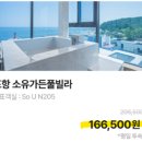 N102 | 포항 소유가든풀빌라 할인 특가 공유 | 4만원 쿠폰 정리