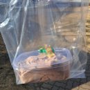 써니네식당 | 당진 맛집 써니 파스타, 삽교호 맛집 아이와 가기 좋은 식당