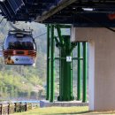 까사마레 이미지