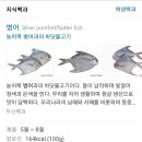 수향한정식 이미지