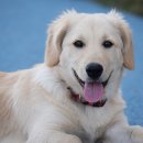 진보동물병원 이미지