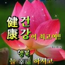 즐거운 노년을 위해 꼭 읽어보세요 이미지