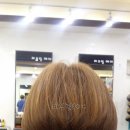최선영헤어 이미지