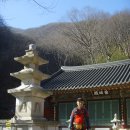 나원1리 이미지