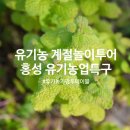 용진택시협동조합 | 홍성 여행 유기농업특구 홍동에서 즐기는 미식투어 유기농 힐링여행