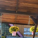 아인슈타인유치원 이미지