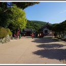 성웅농장 이미지