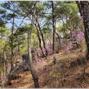 경주 마석산의 기암괴석과 칠불암(국보 마애불상군) 백운암 천룡사 고위봉 천왕지봉--① 이미지