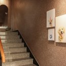 에스동물암센터 이미지