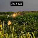 🌕 빛을 품은 사랑의 인(印)인가? - 오륙도의 달빛아래- In English, Spanish, Korean 이미지