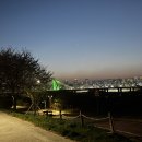 대평동_금강변길 네이버블로그