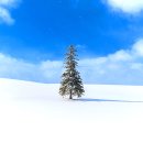 (주)코리아세븐계산본점 | 삿포로여행 비에이투어 하루하루투어 내돈내산 솔직한후기